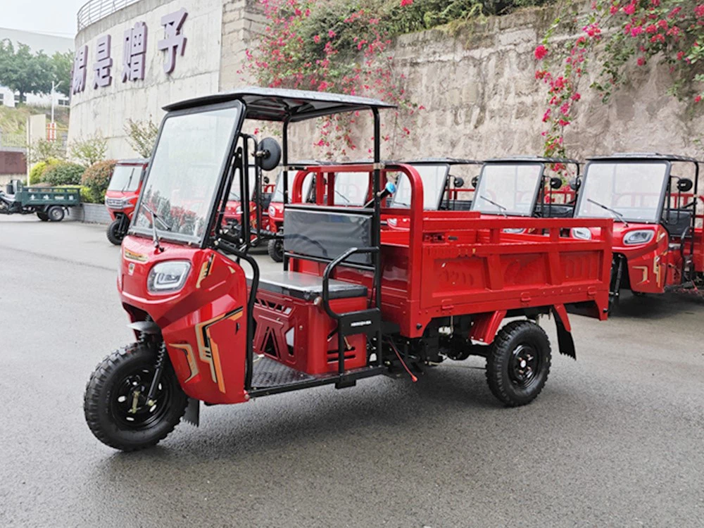 2e tricycle 2e tricycle